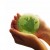 istock_000002266764xsmall