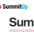 summitupsummary