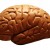 iStock_000002565668XSmall