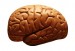 iStock_000002565668XSmall