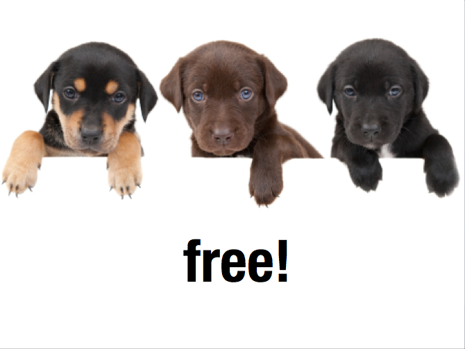 Free Images Of Puppies. Just like the free puppy,