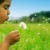 child_dandelion child_dandelion